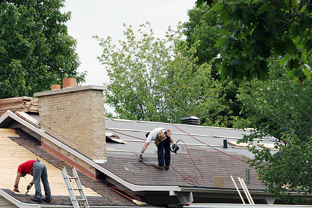 Quick and Trustworthy Emergency Roof Repair Services in Pine Level, AL