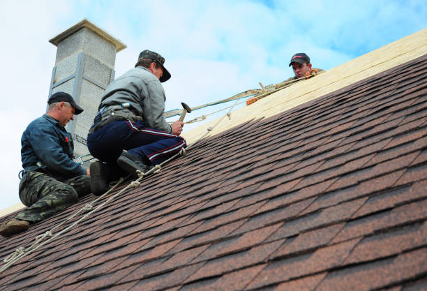 Quick and Trustworthy Emergency Roof Repair Services in Pine Level, AL